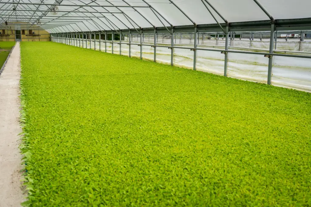CNAS认可实验室认证流程中计量校准的关键作用分析