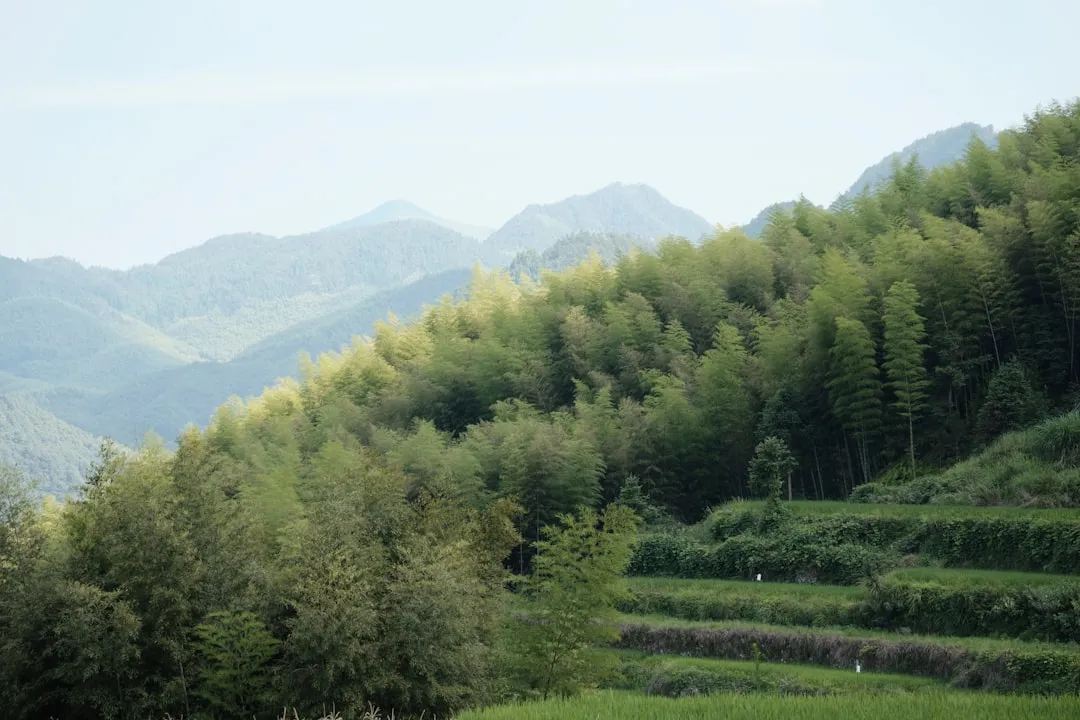 计量校准中常见误差来源解析与仪器检测数据准确性提升方法