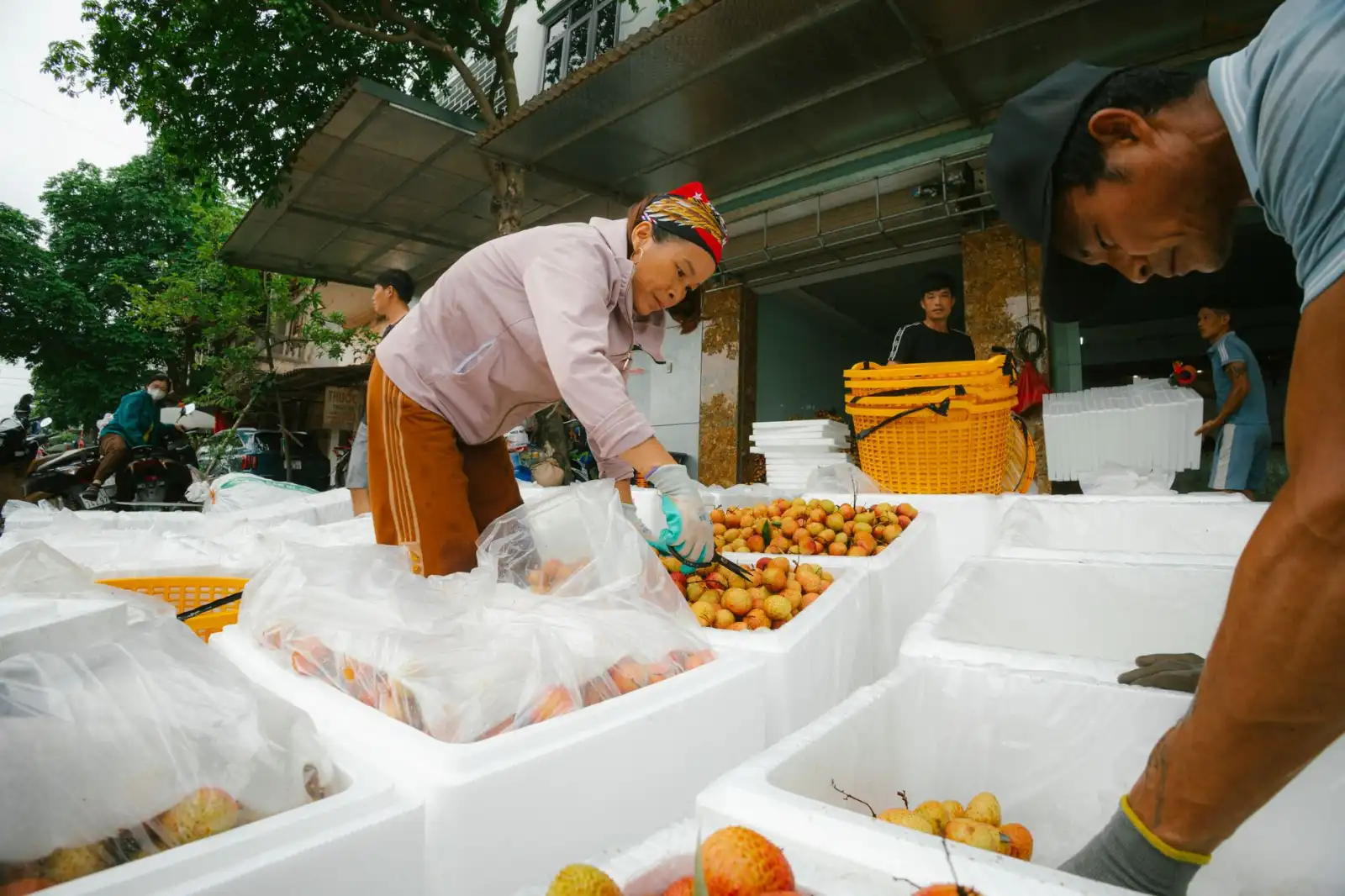 计量校准如何保障制造企业测量数据的准确性与可追溯性